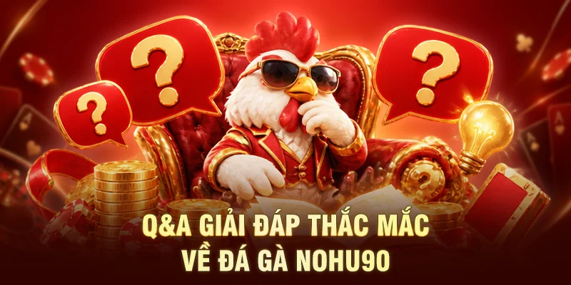 Q&A giải đáp thắc mắc về đá gà NOHU90