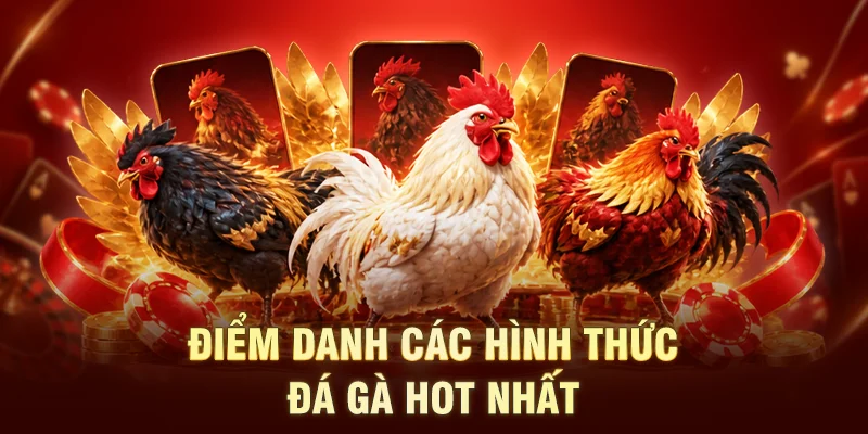 Điểm danh các hình thức đá gà hot nhất