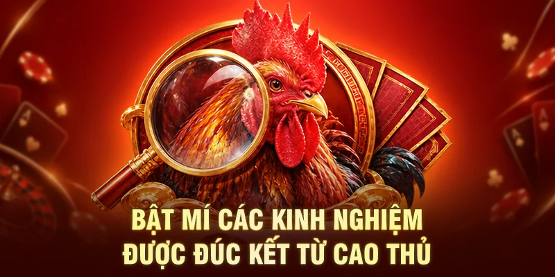 Bật mí các kinh nghiệm được đúc kết từ cao thủ