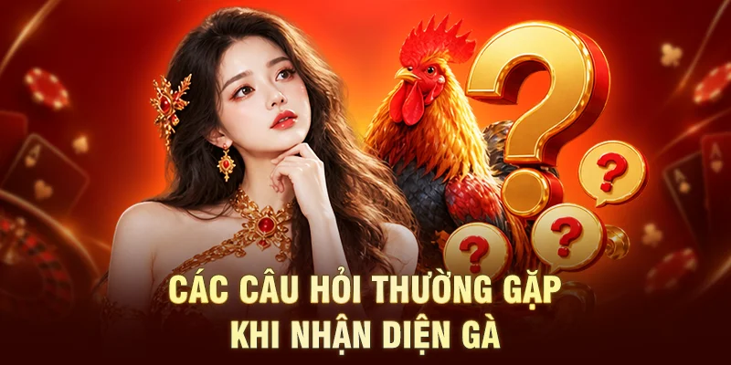 Các câu hỏi thường gặp khi nhận diện gà