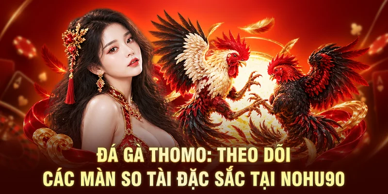 Đá Gà Thomo: Theo Dõi Các Màn So Tài Đặc Sắc Tại NOHU90