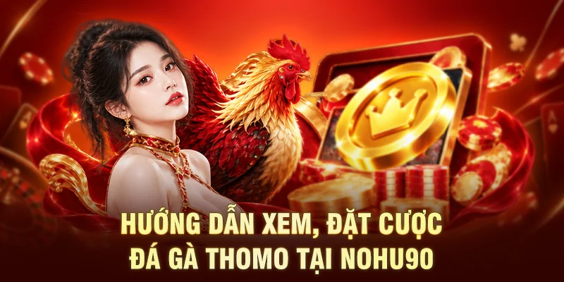 Hướng dẫn xem, đặt cược đá gà Thomo tại NOHU90