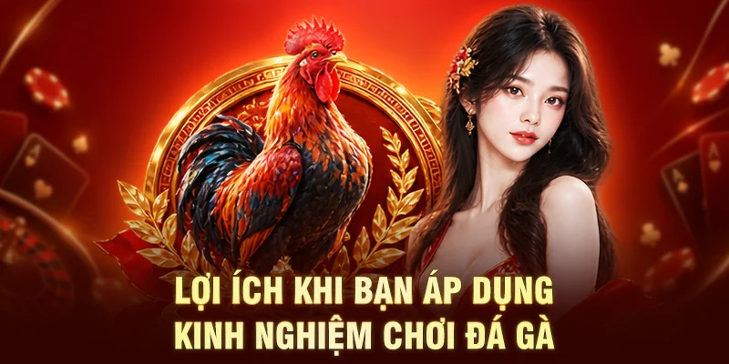 Lợi ích khi bạn áp dụng kinh nghiệm chơi đá gà