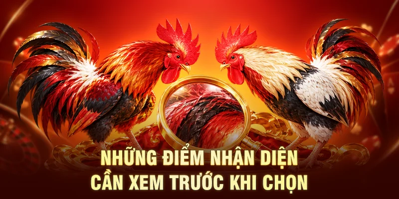 Những điểm nhận diện cần xem trước khi chọn