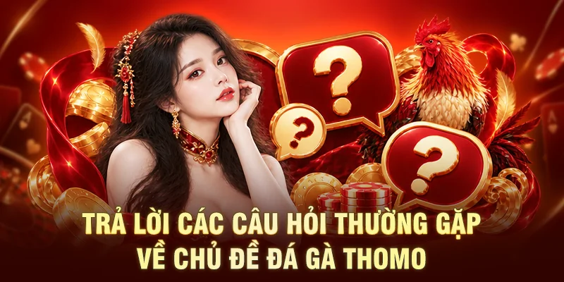 Trả lời các câu hỏi thường gặp về chủ đề đá gà Thomo